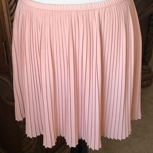 Forever21 Pleated Skirt